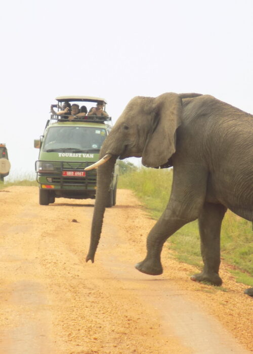 Rwanda National Parks