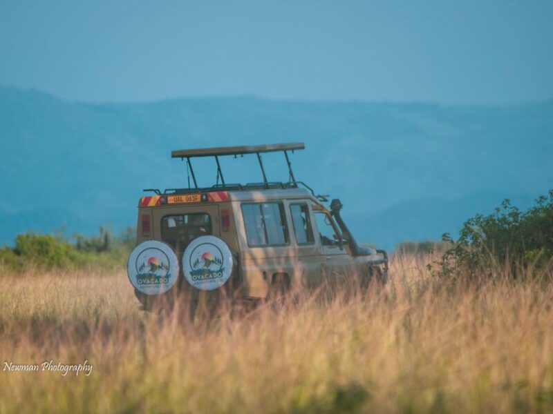 Tanzania National Parks