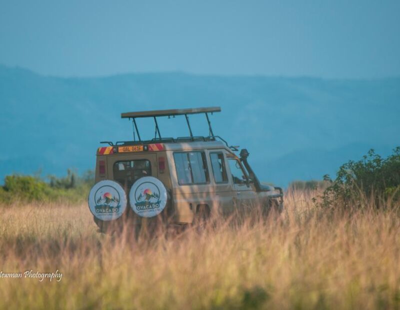 Tanzania National Parks