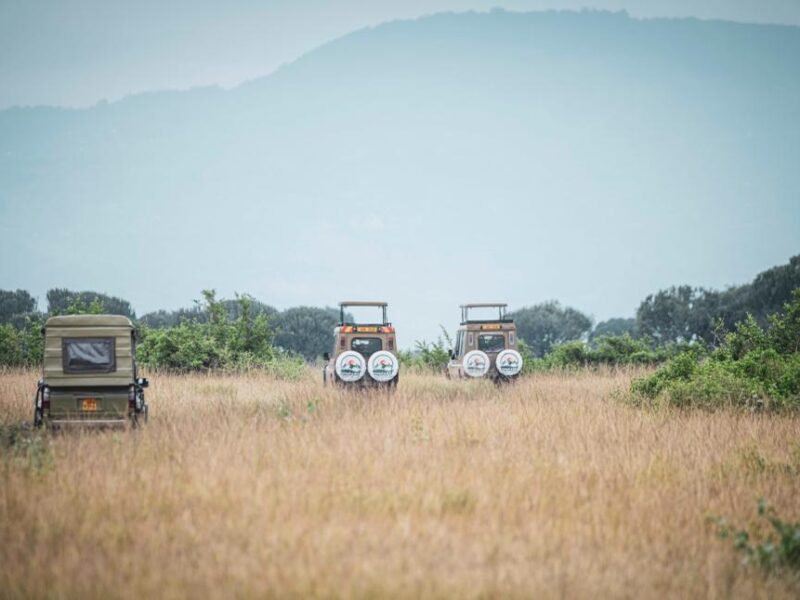 Tanzania Bush Memories