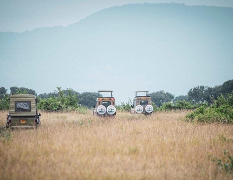 Tanzania Bush Memories