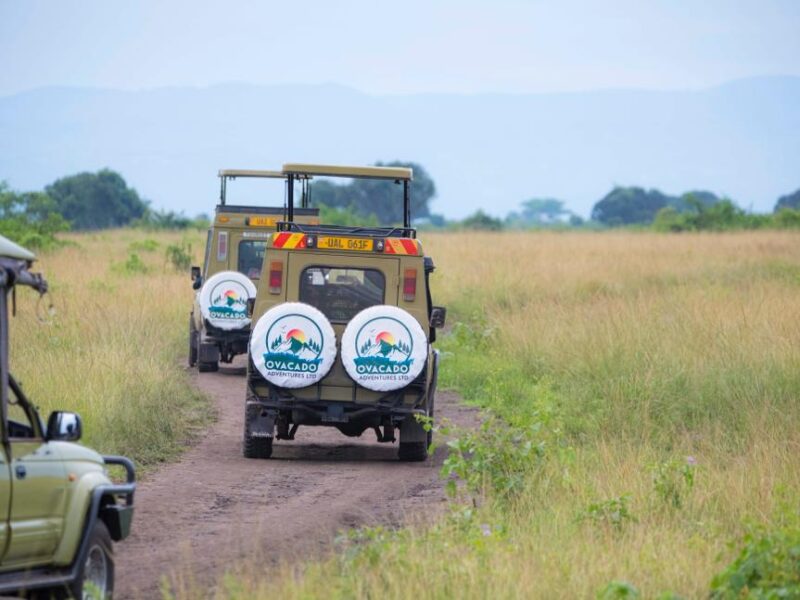 Tanzania Wildlife Adventure Trip