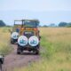 Tanzania Wildlife Adventure Trip