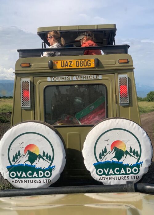 Uganda Safari