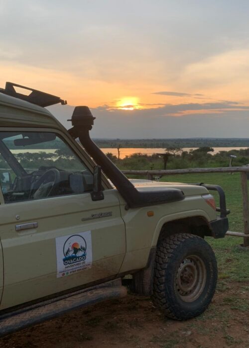 Rwanda Safaris Tour