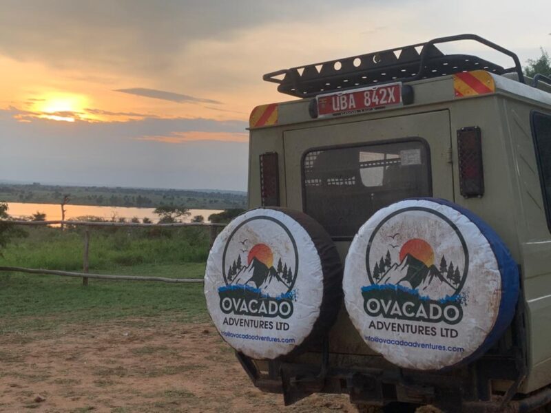 Uganda Rwanda Adventure