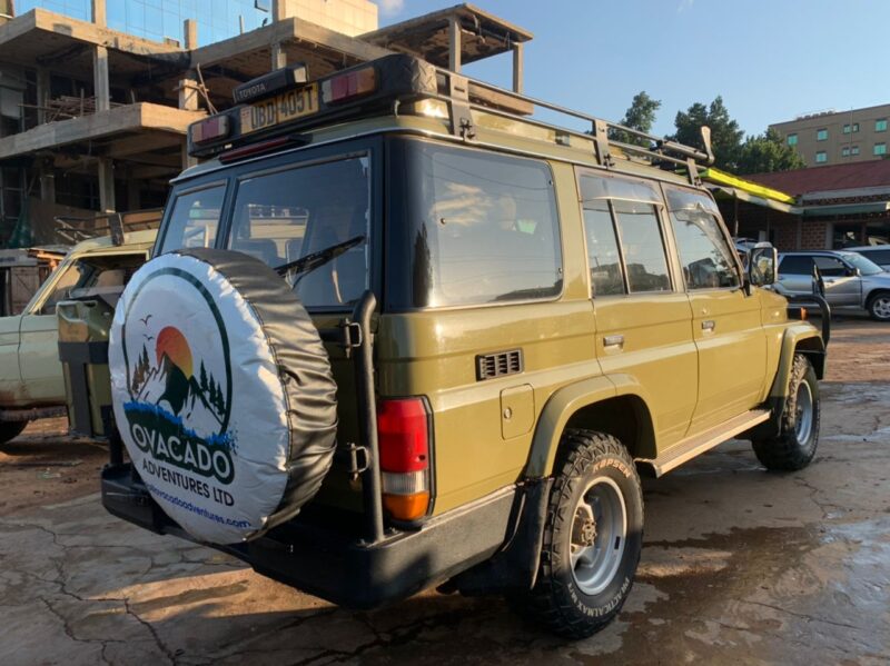 Uganda Gorilla Tracking Safaris Holiday