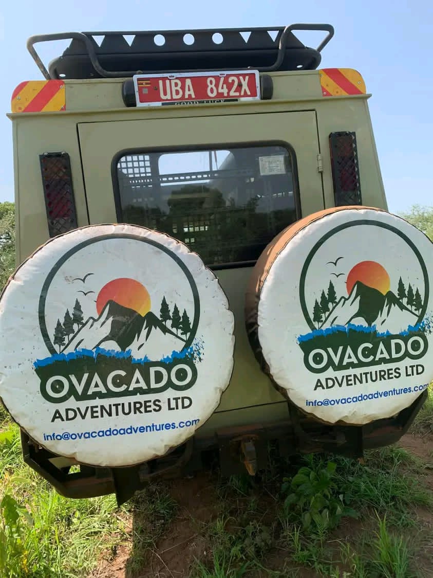 Kenya Travel Advice What to Know Before Safari to Kenya?