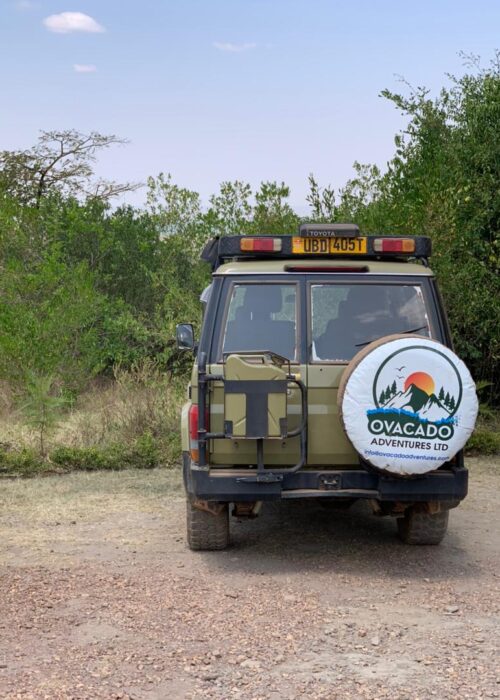 Big 5 Uganda Kidepo Safari