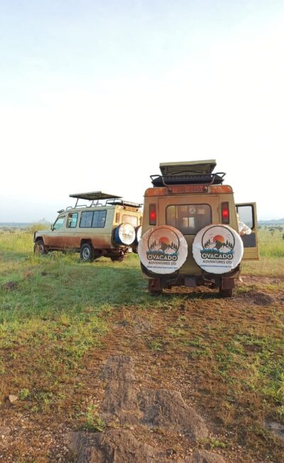 Uganda Wildlife Safaris