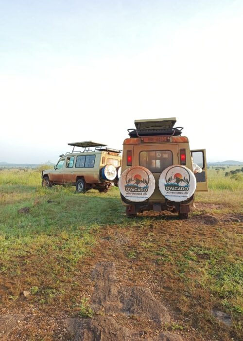 Uganda Wildlife Safaris