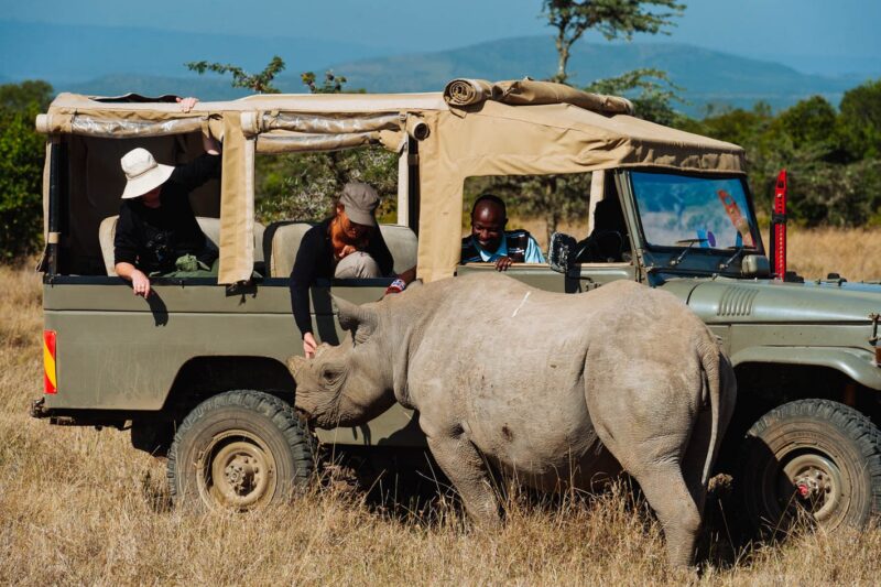 Kenya Wildlife Safaris Holiday