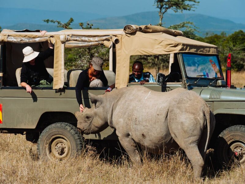 Kenya Wildlife Safaris Holiday