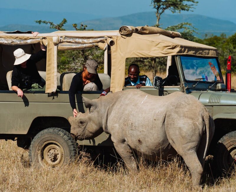 Kenya Wildlife Safaris Holiday